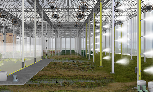 /architecture/newsroom/news-articles/super-jury-2021/humancopy.jpg